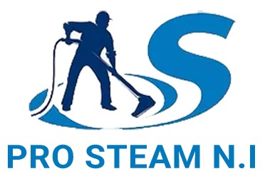 Pro Steam NI Logo No BG